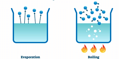 Class 7 Science Chapter 5 Question Answers - Physical and Chemical Changes