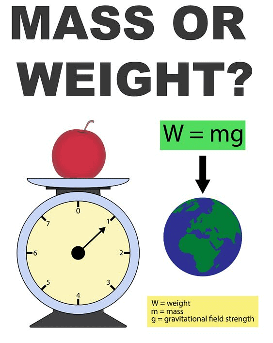 Important Points: Gravitation | Science Class 9