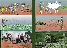 Unit Test (Solutions): The Story of Village Palampur | Social Studies (SST) Class 9