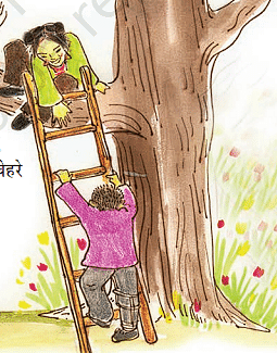 Summary: अपूर्व अनुभव | Hindi (Vasant II) Class 7 (Old NCERT)
