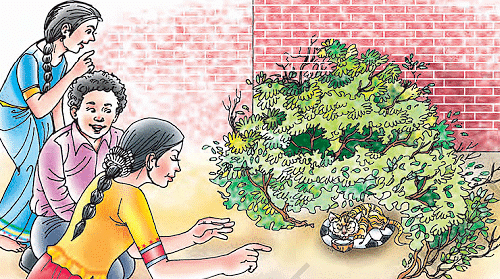 A Gift of Chappals Summary Class 7 English Honeycomb Chapter 2