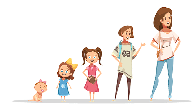 Reaching the Age of Adolescence Class 8 Notes Science Chapter 7