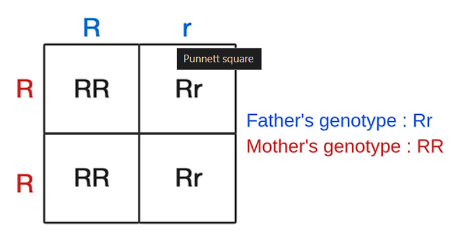 Important Diagrams: Principles of Inheritance and Variation | Biology Class 12 - NEET