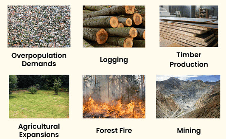 Very Short Answers - Conservation of Plants and Animals, Science, Class 8 | Science Class 8