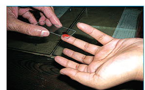 A Treat for Mosquitoes Class 5 Notes EVS Chapter 8