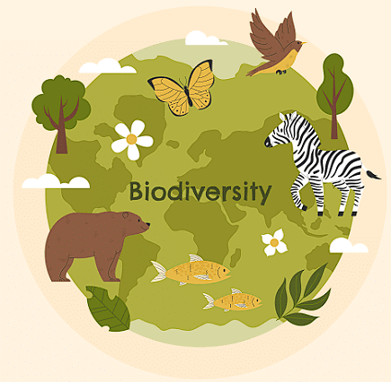 Biodiversity and Conservation Chapter Notes - NEET