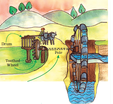 Walls Tell Stories Class 5 Notes EVS Chapter 10