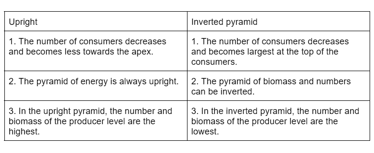 NCERT Solutions Class 12 Biology Chapter 12 - Ecosystem