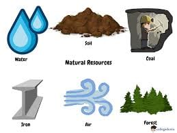Unit Test (Solutions): Resources | Social Studies (SST) Class 8