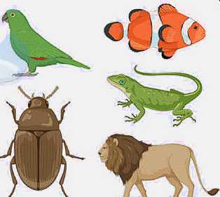 Very Short Answers - Conservation of Plants and Animals, Science, Class 8 | Science Class 8