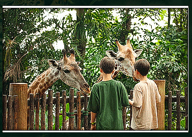 Very Short Answers - Conservation of Plants and Animals, Science, Class 8 | Science Class 8
