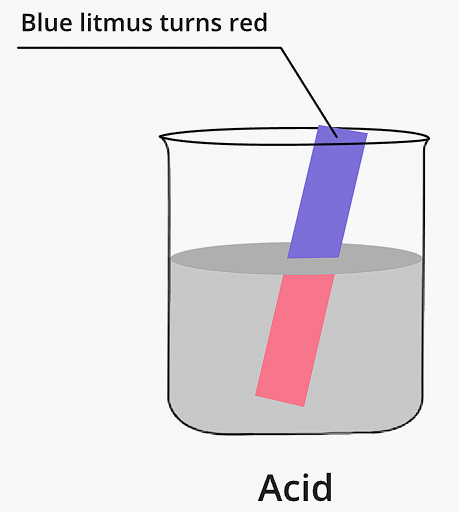 Blue Litmus paper turns red