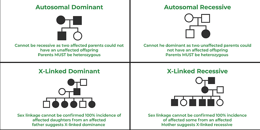 Genetic & Chromosomal Disorders | Biology Class 12 - NEET