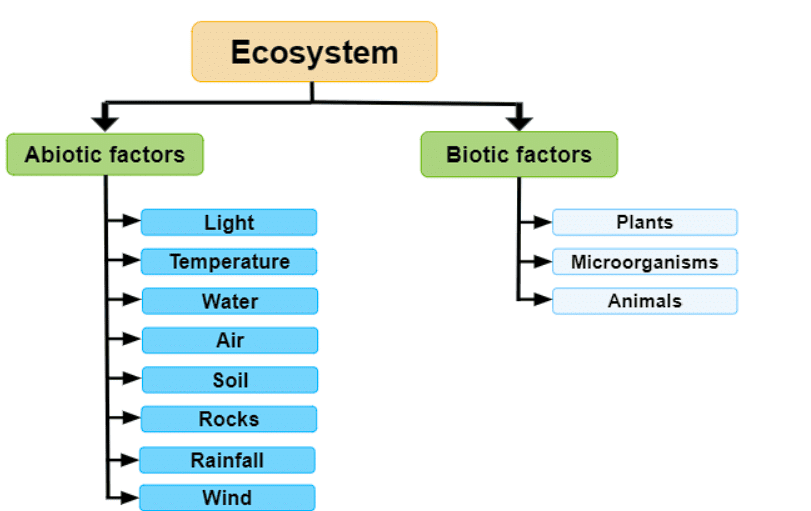 NCERT Exemplar: Our Environment | Science Class 10
