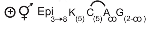 Floral Formula of Malvaceae
