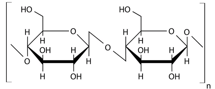 NEET Previous Year Questions (2016-2025): Biomolecules | Biology Class 11