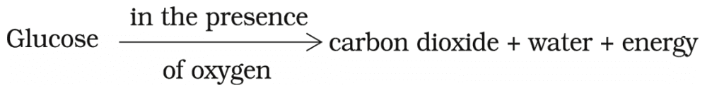 Aerobic respiration