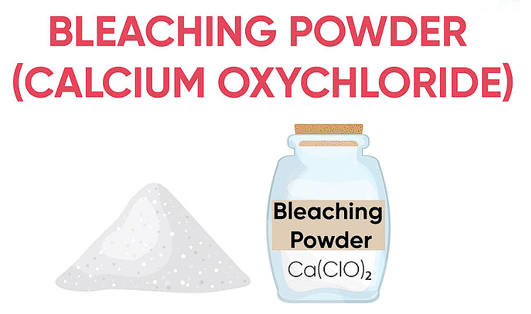 Acids, Bases and Salts - 1 Class 10 Worksheet Science Chapter 2