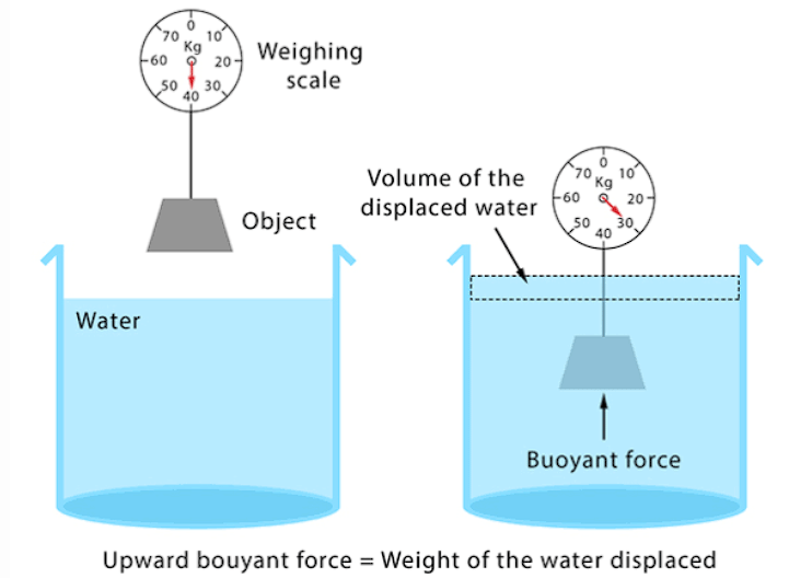 Important Points: Gravitation | Science Class 9