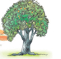 Summary: रहीम के दोहे | Hindi (Vasant II) Class 7 (Old NCERT)