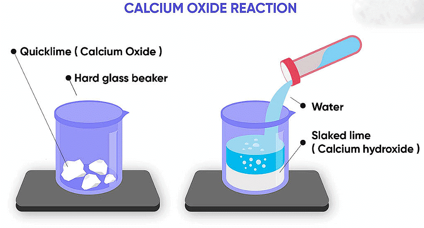 Acids, Bases and Salts - 1 Class 10 Worksheet Science Chapter 2