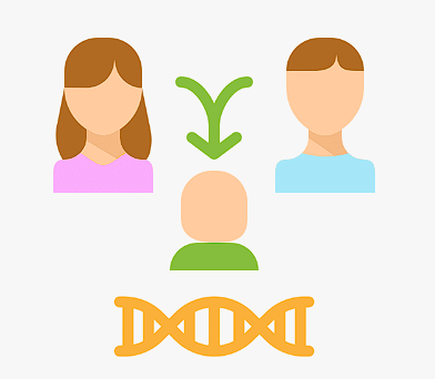 Heredity and Evolution Class 10 Notes Science Chapter 8