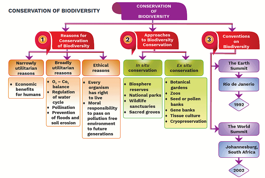 Biodiversity and Conservation Chapter Notes - NEET