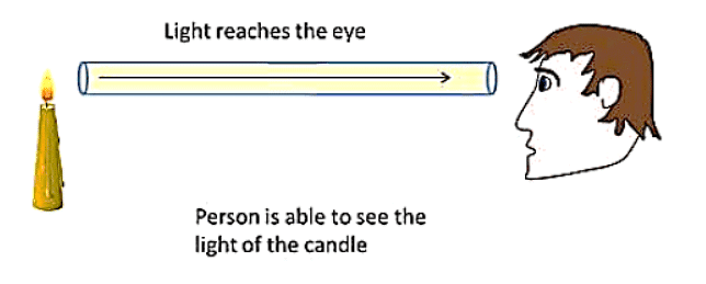 Light Class 7 Notes Science Chapter 13