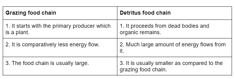 NCERT Solutions Class 12 Biology Chapter 12 - Ecosystem