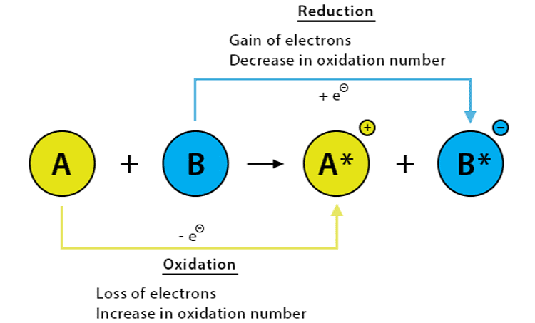 Chemical Reactions and Equations Class 10 Notes Science Chapter 1