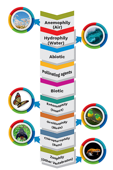 Pollinating Agents