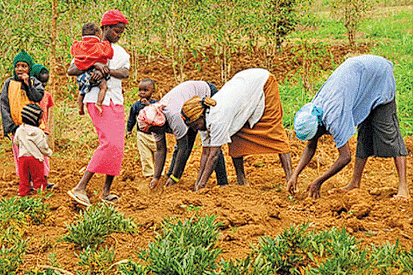 The Land of Dense Forests: Congo Class 5 Notes SST