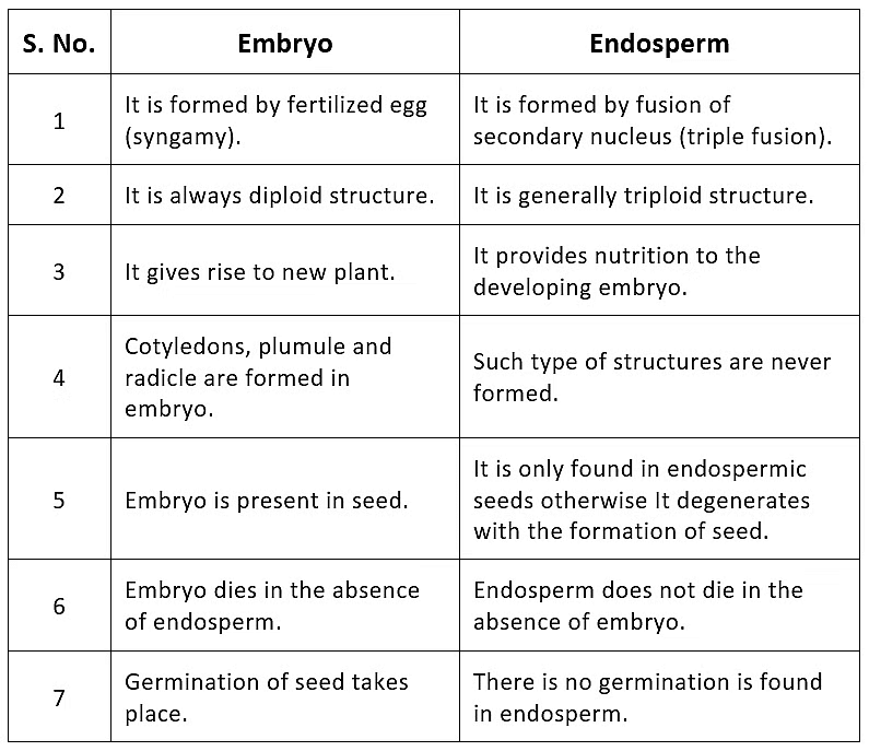 Post-Fertilisation Structures and Events | Biology Class 12 - NEET