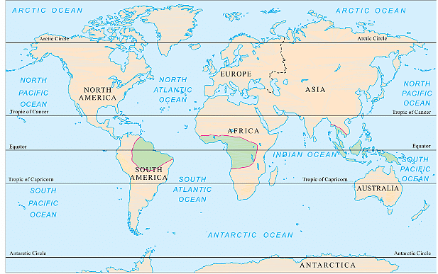 Equatorial forests of the world