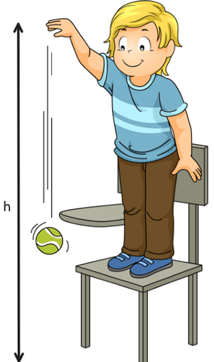 Important Points: Gravitation | Science Class 9