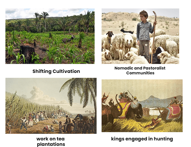 NCERT Solutions for Class 9 History Chapter 4 - Forest Society and Colonialism