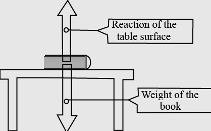 Unit Test (Solutions): Force and Laws of Motion