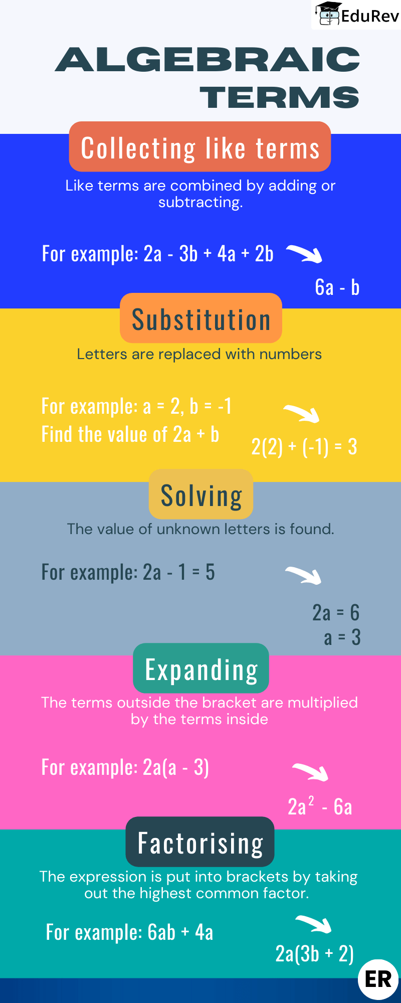 Infographics: Algebraic Terms | Mathematics (Maths) Class 9