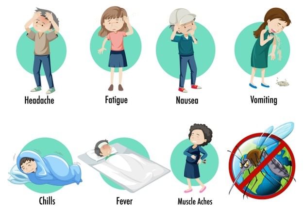 Symptoms of Malaria