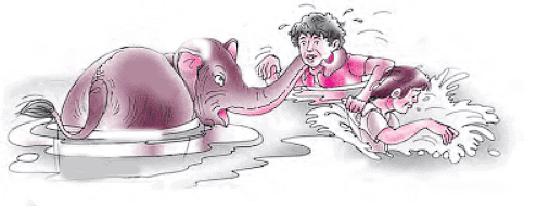 NCERT Solutions for Class 7 English - Bringing Up Kari