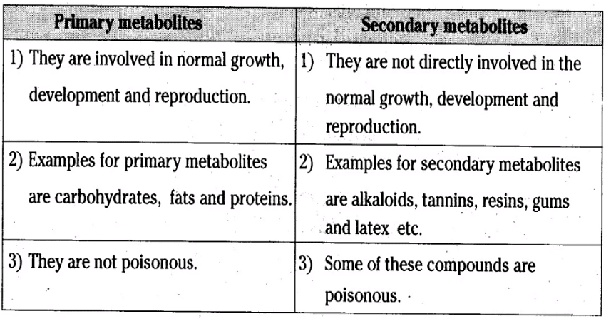 Primary, Secondary Metabolites and Biomacromolecules | Biology Class 11 - NEET