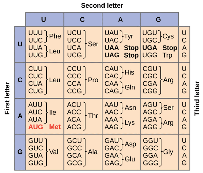 Genetic Code | Biology for EmSAT Achieve