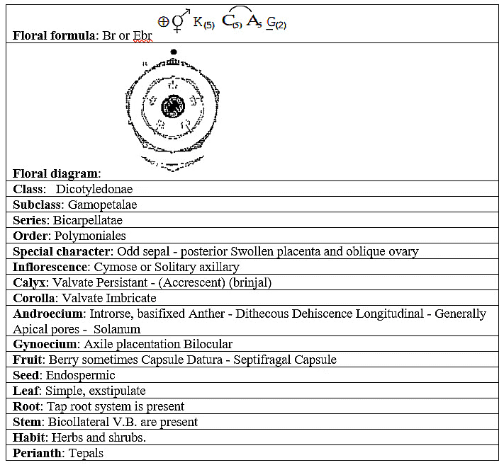1.Vegetative characters