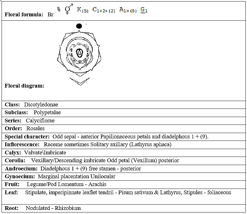 Characteristics of Fabaceae Family