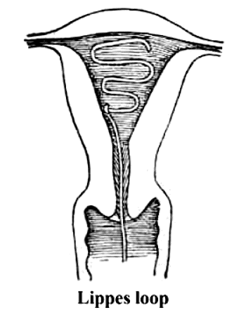 NEET Previous Year Questions (2014-2024): Reproductive Health | Biology Class 12