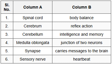 Q1: Match the following