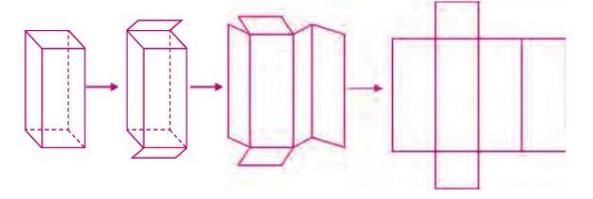 Three-dimensional Shapes Chapter Notes | Mathematics Class 6 ICSE