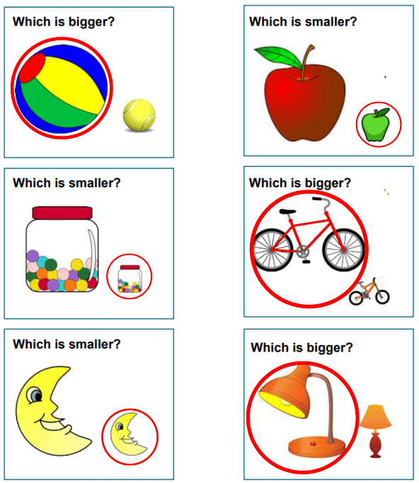 Worksheet Solutions: Big - Small | Maths for LKG