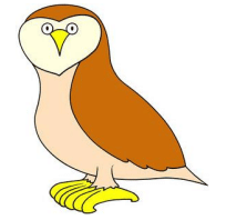 Colourful Birds | GK for UKG