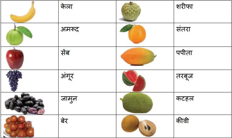 Worksheet Solutions: फलों के नाम | Hindi for LKG